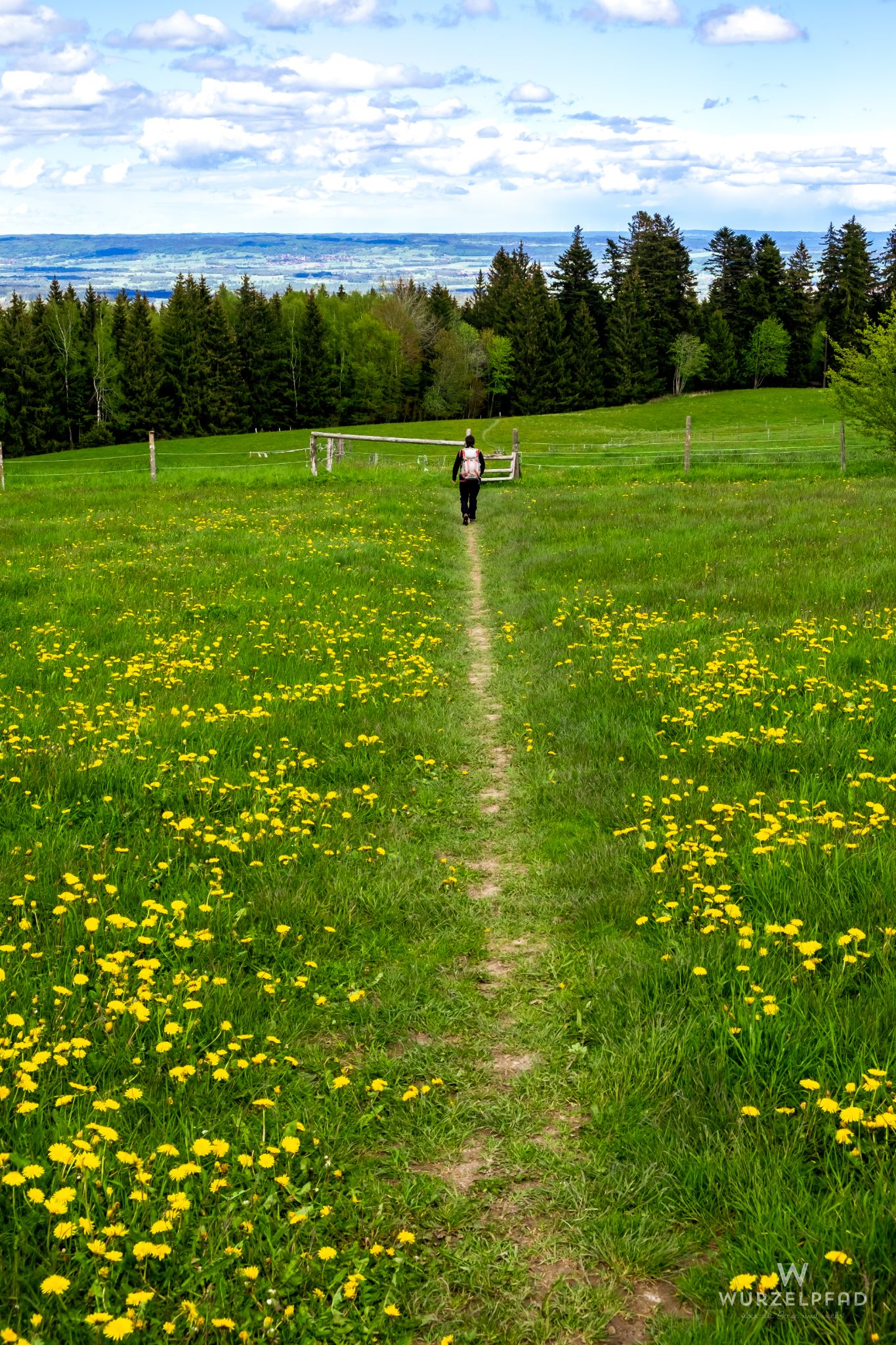 Abstieg über grüne Wiesen